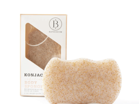 Konjac Walnut Exfoliating Body Sponge | Bathorium on Sale