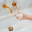 Konjac Walnut Exfoliating Body Sponge | Bathorium on Sale