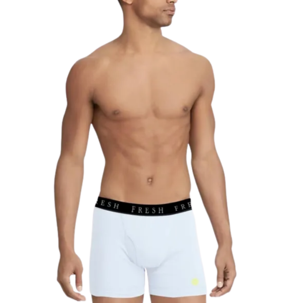 White Luxury Boxer Briefs | Fresh Helps Online